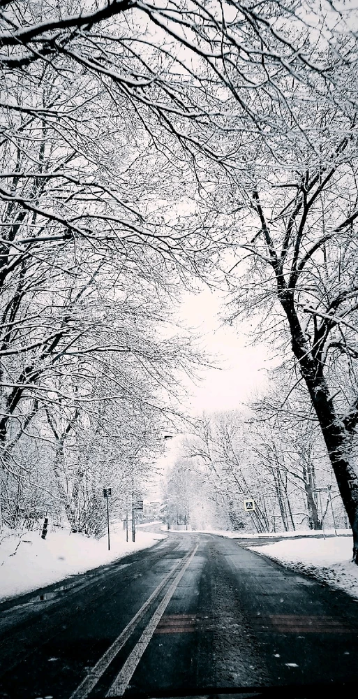 GIF dodany przez Krzyś