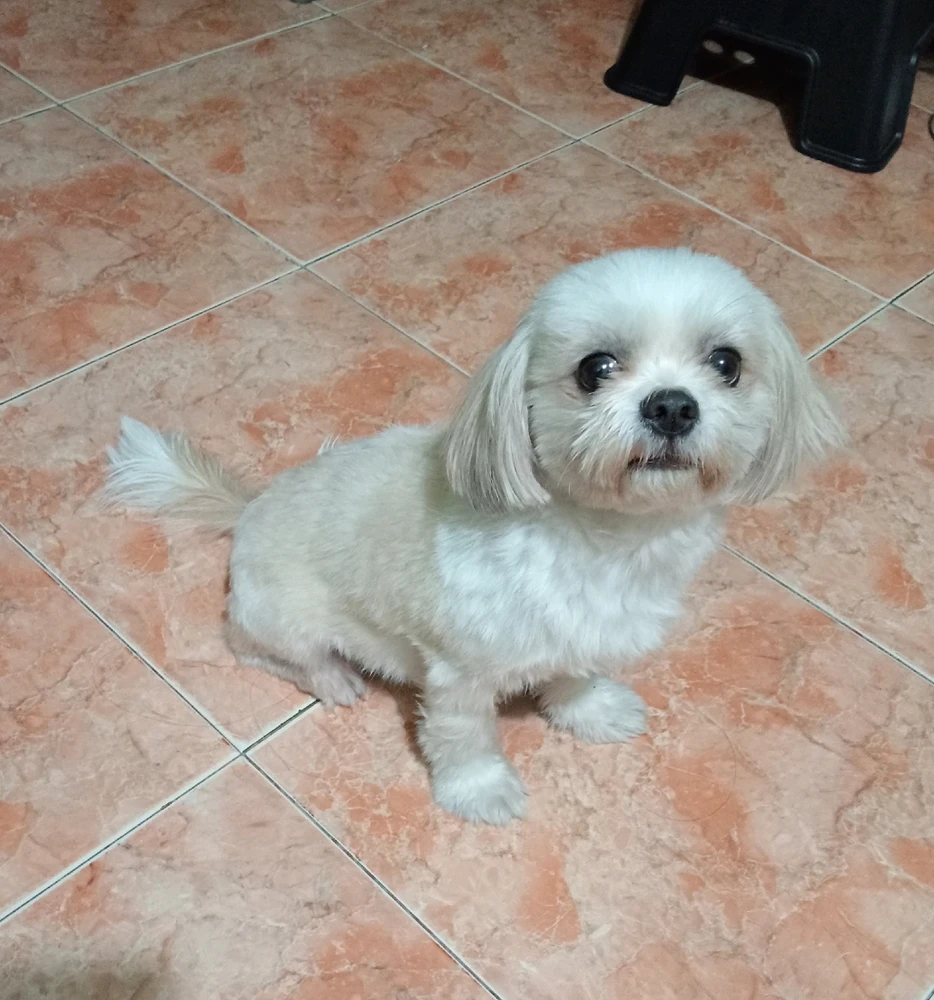 GIF uploaded by Elle