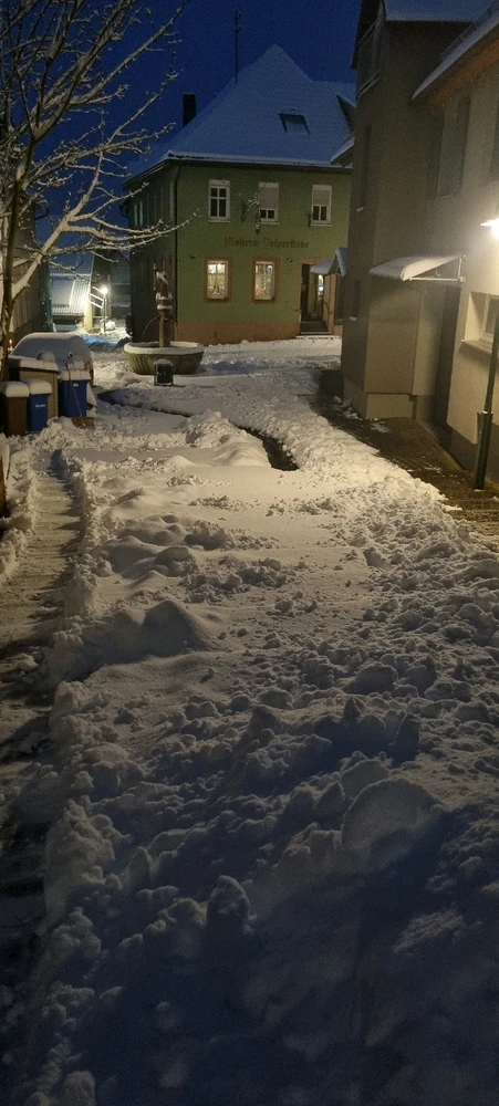 Bild hochgeladen von Riley D Walker