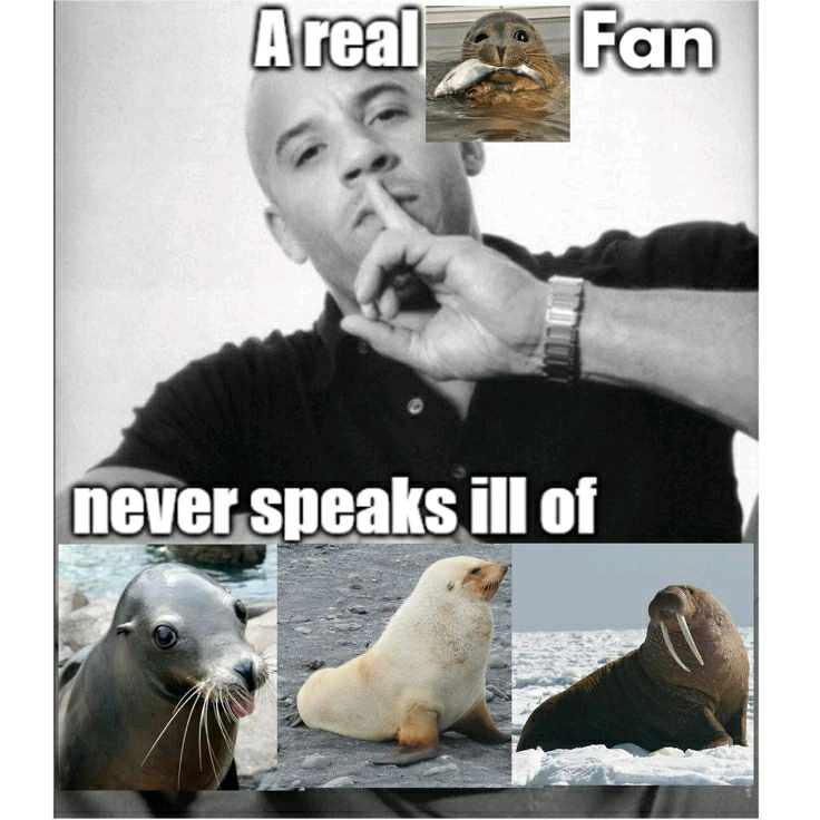 GIF uploaded by Roman