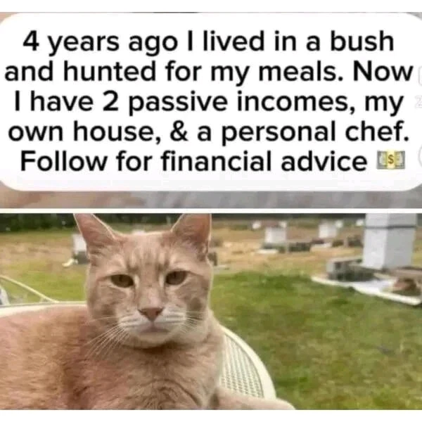 GIF uploaded by Waynez