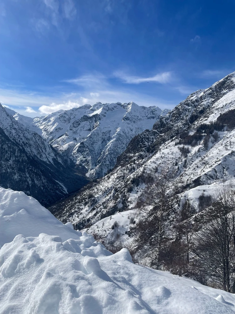 GIF ajouté par David