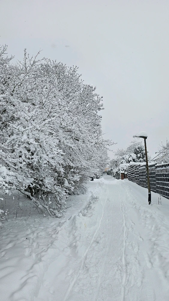 Bild hochgeladen von Violet