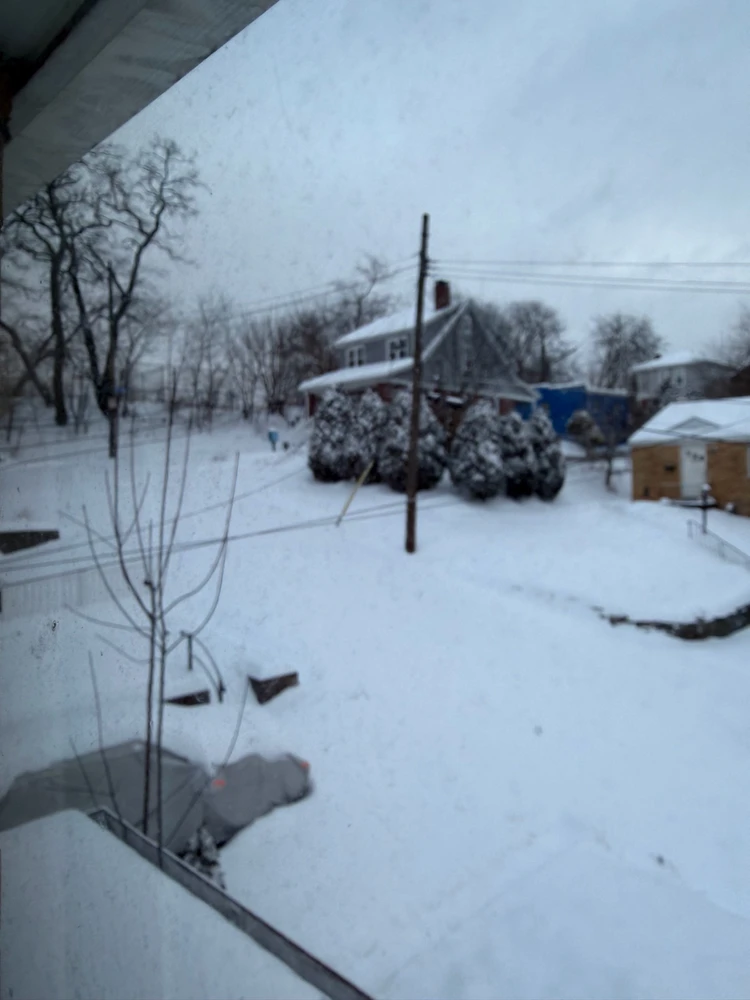 Image uploaded by Heidi