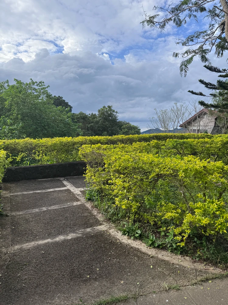 GIF uploaded by Roselyn