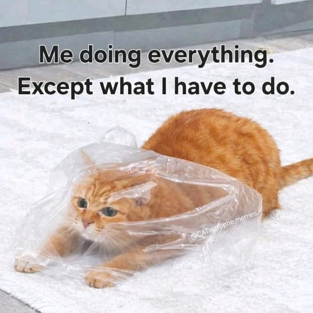 GIF uploaded by Shiri 쉬린 💜