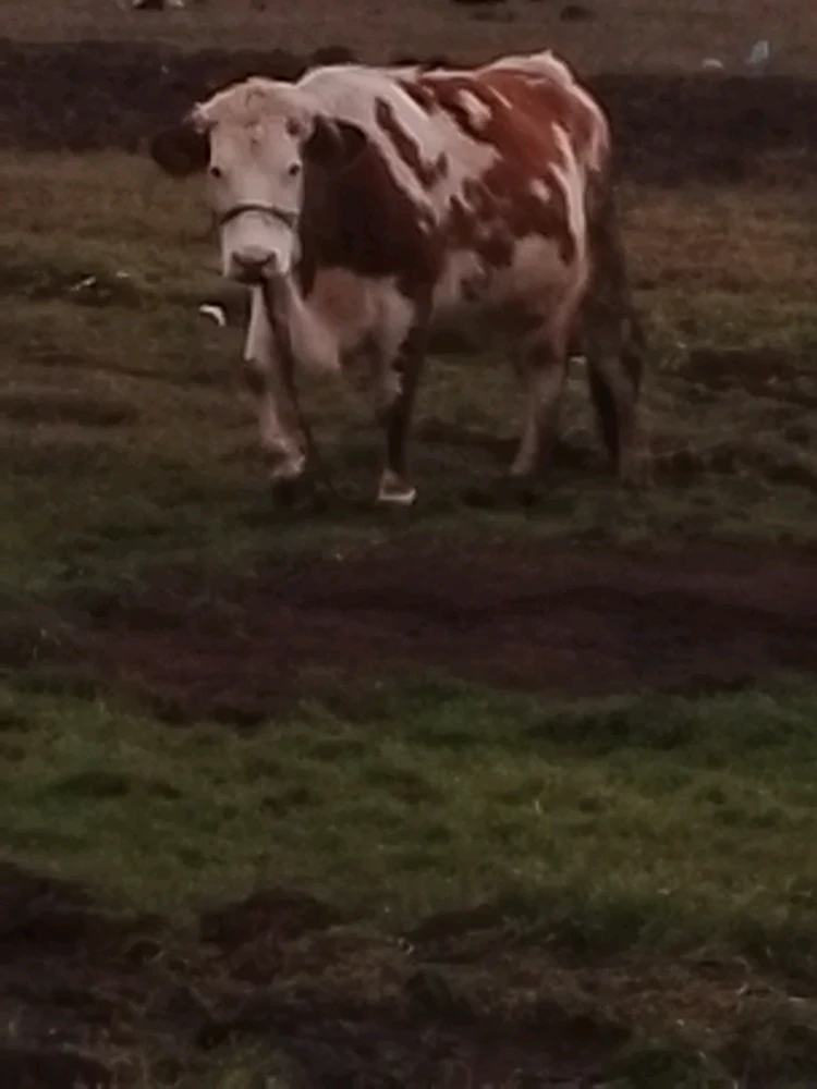 GIF uploaded by Kas
