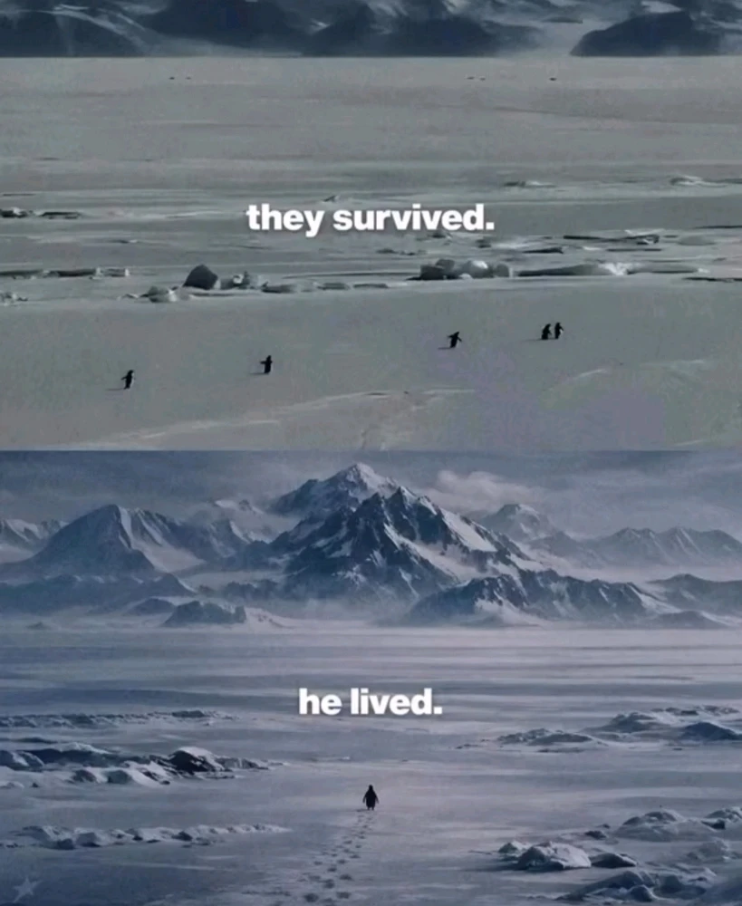 GIF uploaded by fati