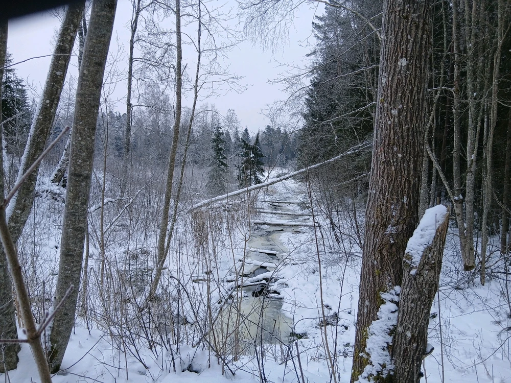 GIF uploaded by Jane