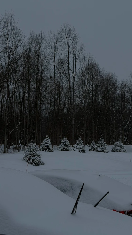 GIF uploaded by Anthony