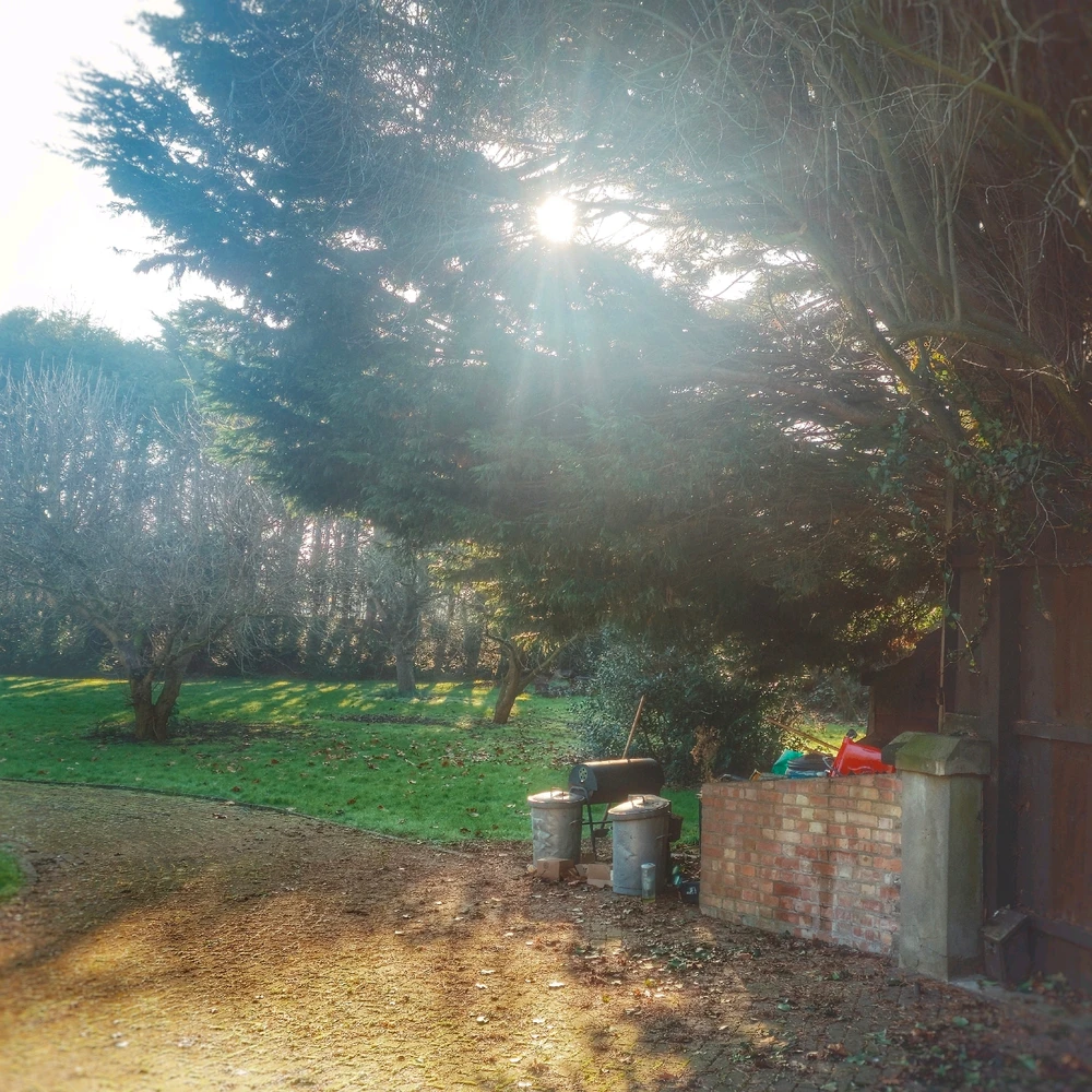 Image uploaded by Ryan