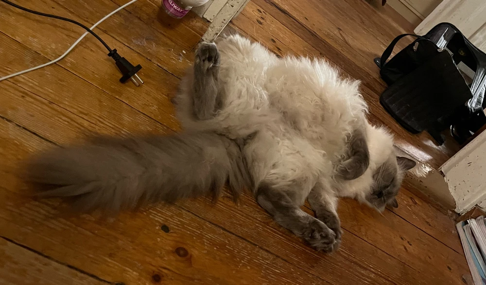 GIF uploaded by Kati