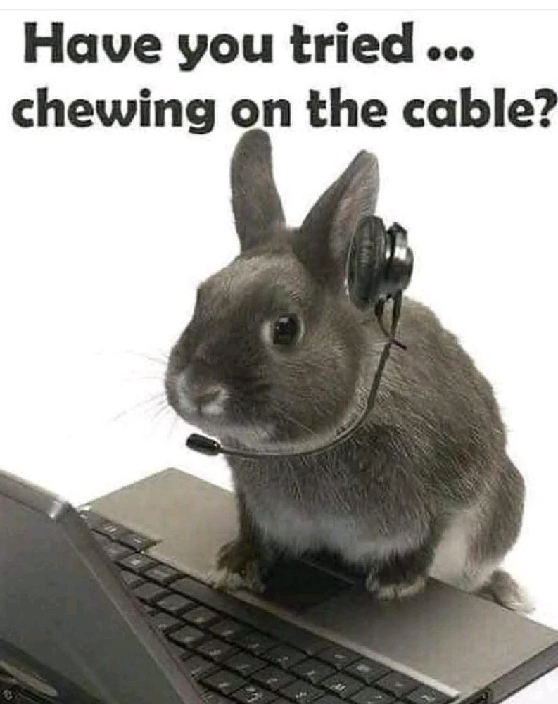 GIF uploaded by Roro