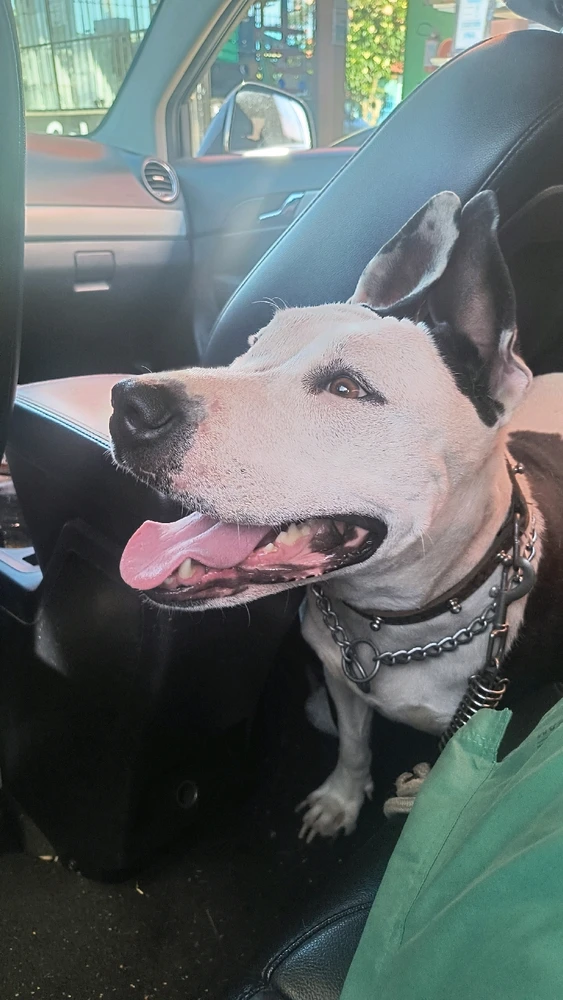 GIF enviado por Gabriel Dutra