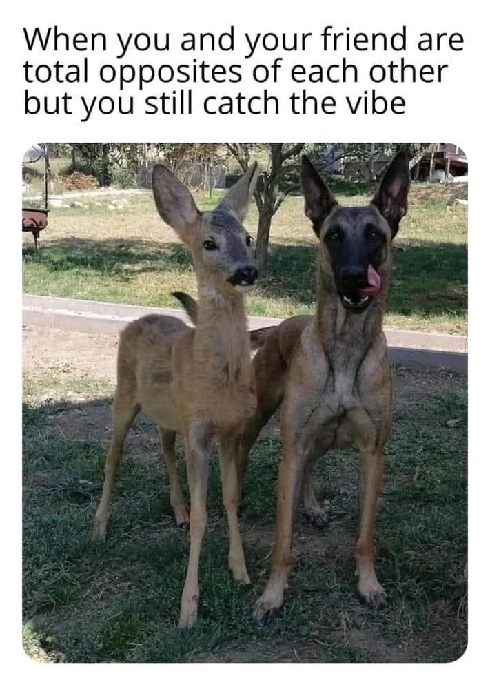 GIF uploaded by Crystal