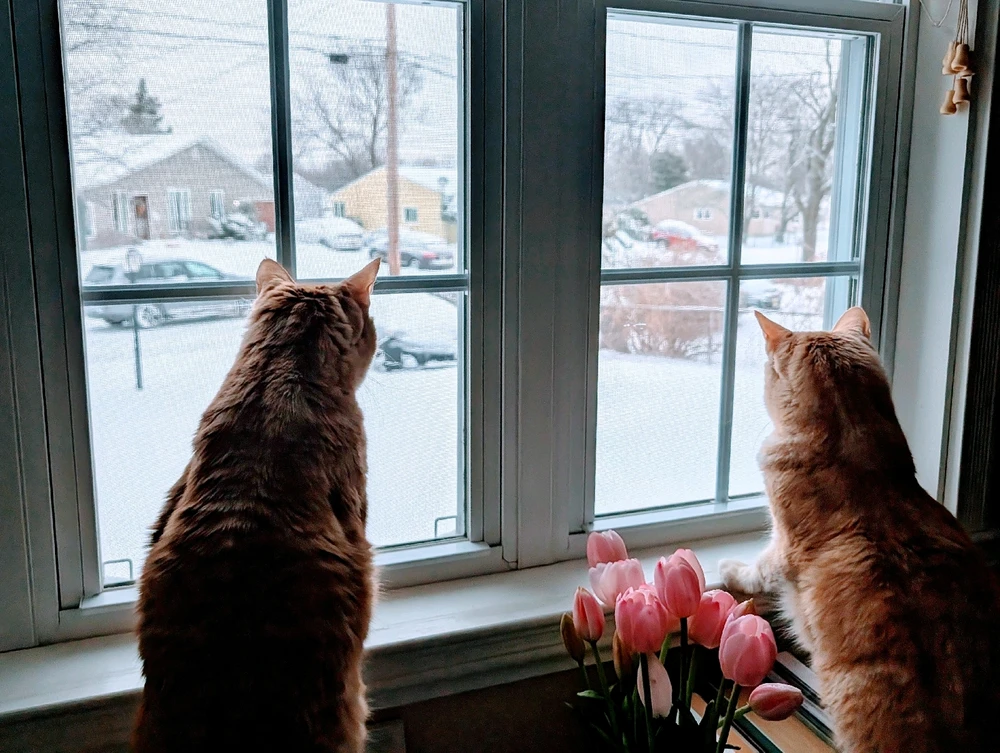 GIF uploaded by Melissa