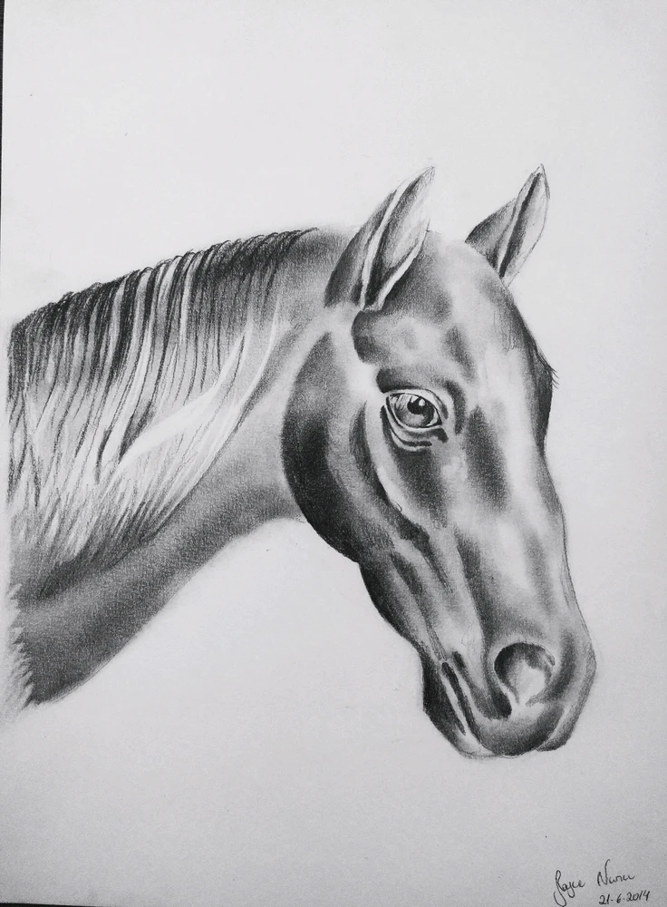 Imagem enviada por Nara