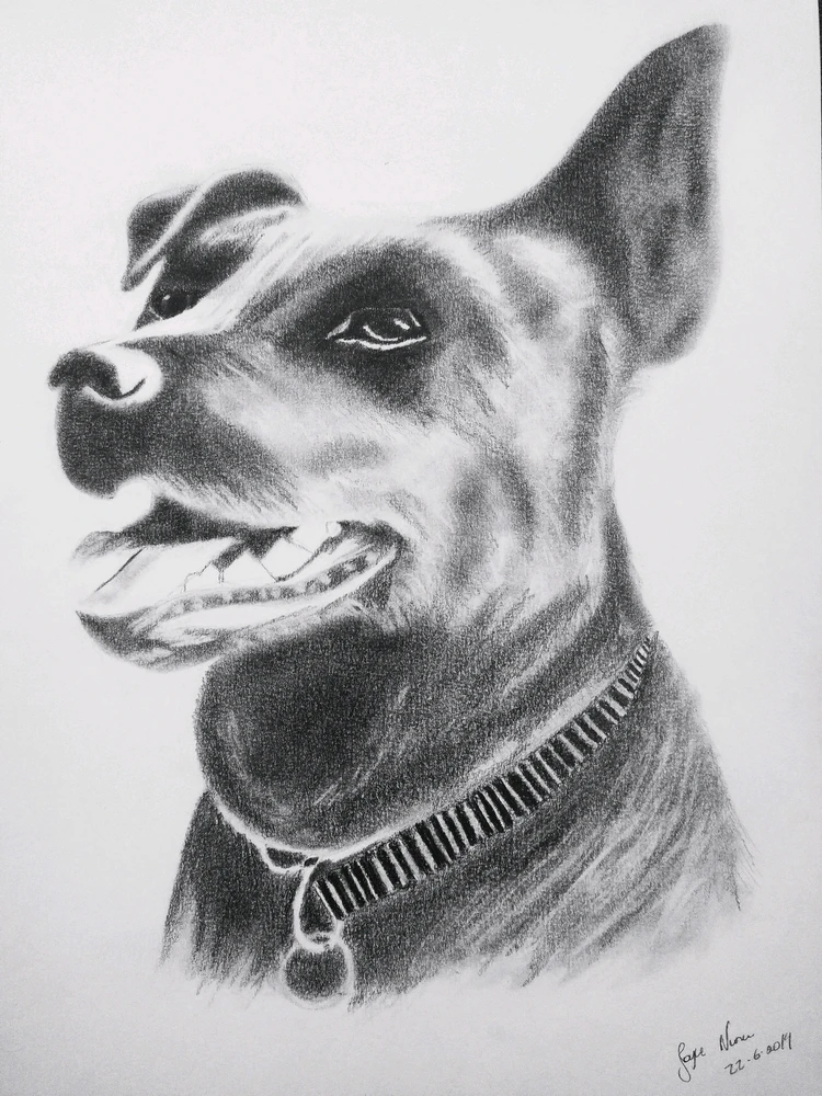 Imagem enviada por Nara