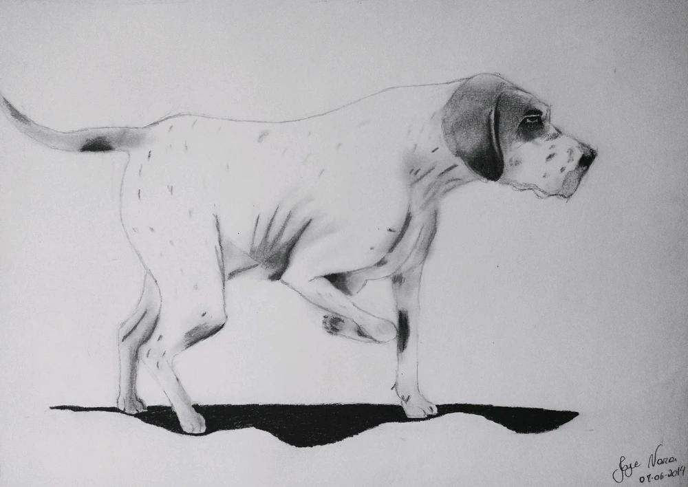 Imagem enviada por Nara