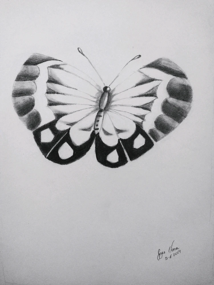 Imagem enviada por Nara