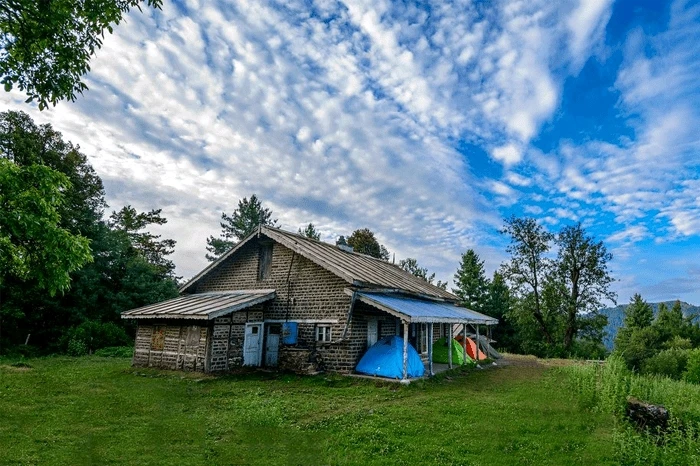 Image uploaded by Zaidi