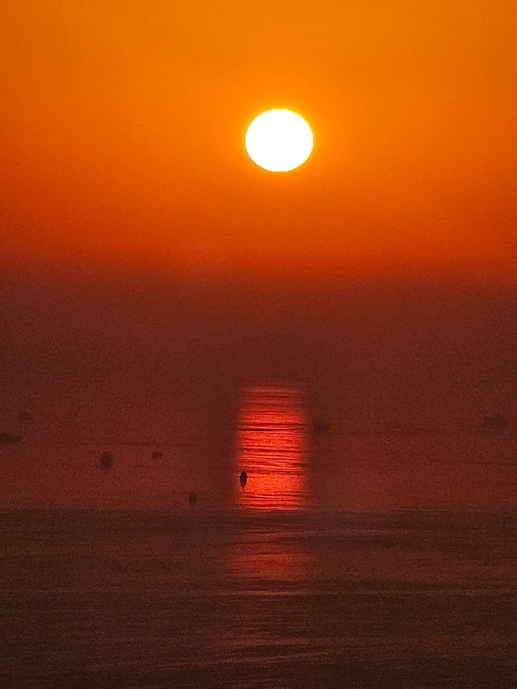 Image uploaded by Afrin