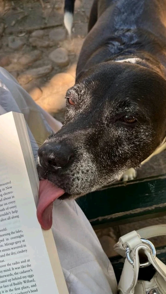 GIF uploaded by Amber