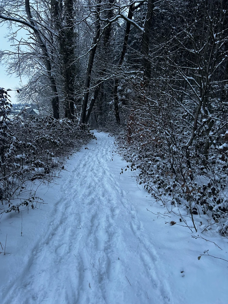 Bild hochgeladen von Mila