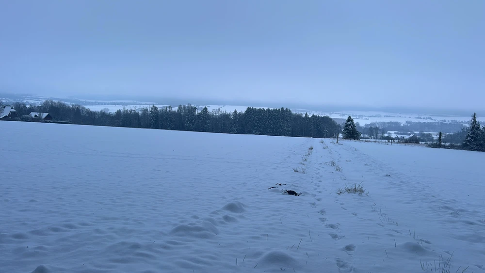 Bild hochgeladen von Mila
