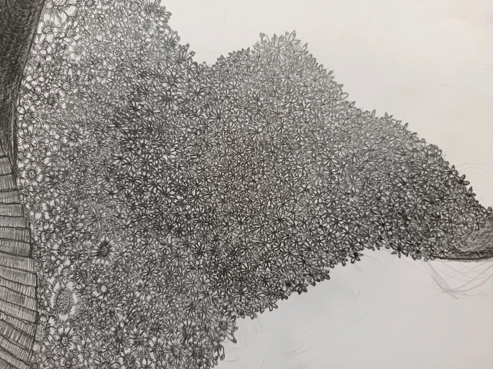 Bild hochgeladen von Mert