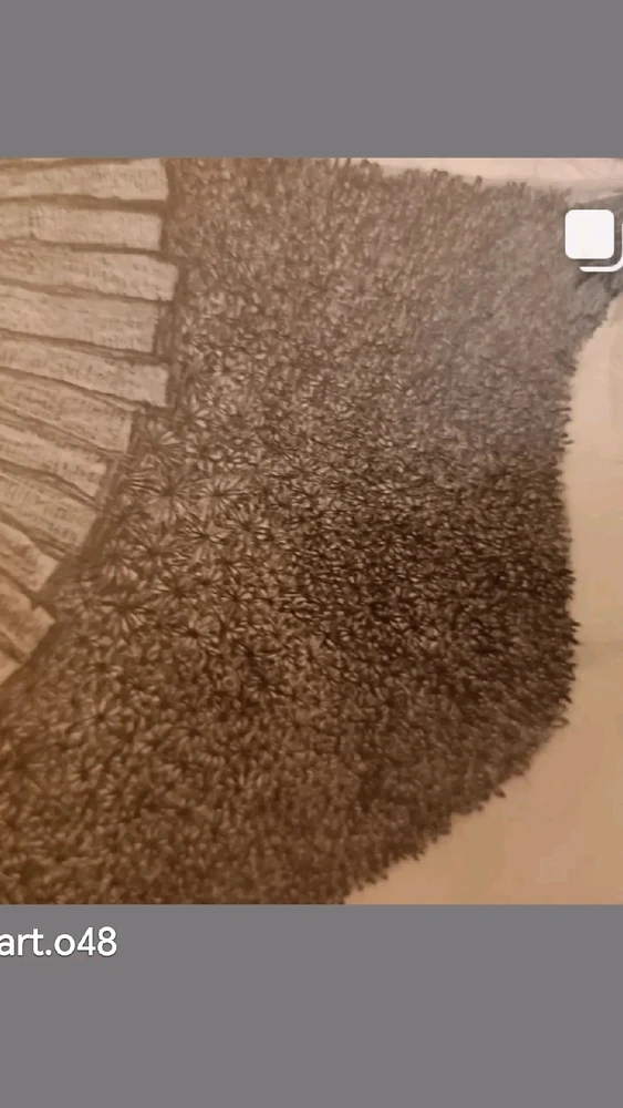 Bild hochgeladen von Mert