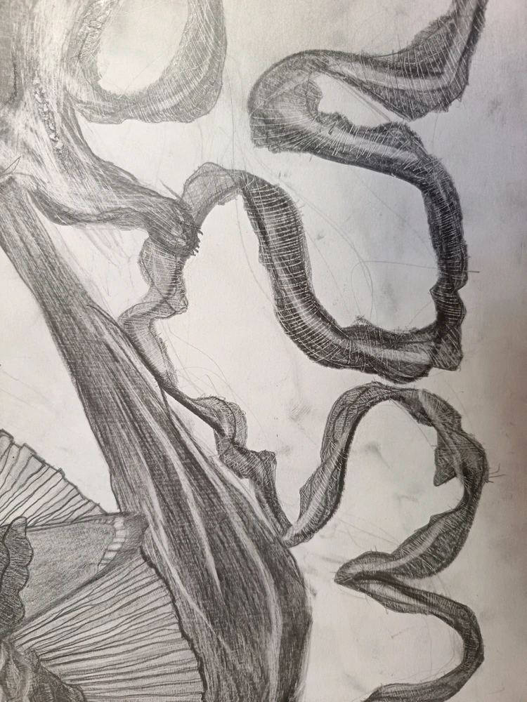 Bild hochgeladen von Mert