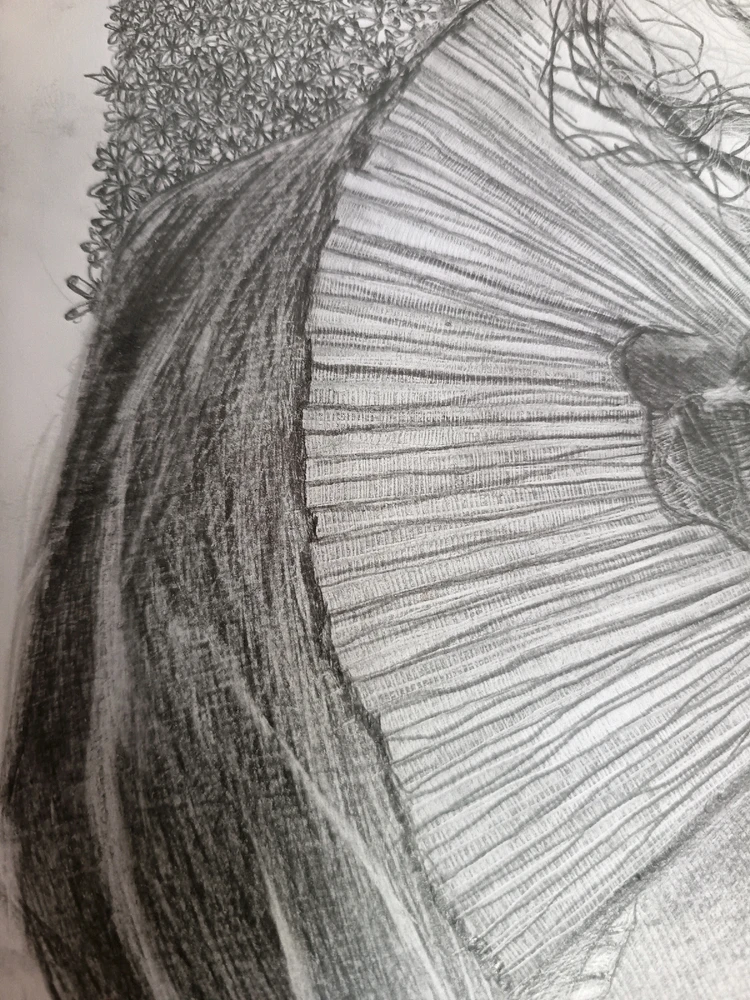 Bild hochgeladen von Mert