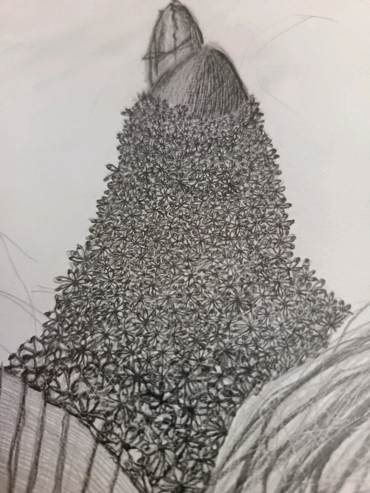 Bild hochgeladen von Mert