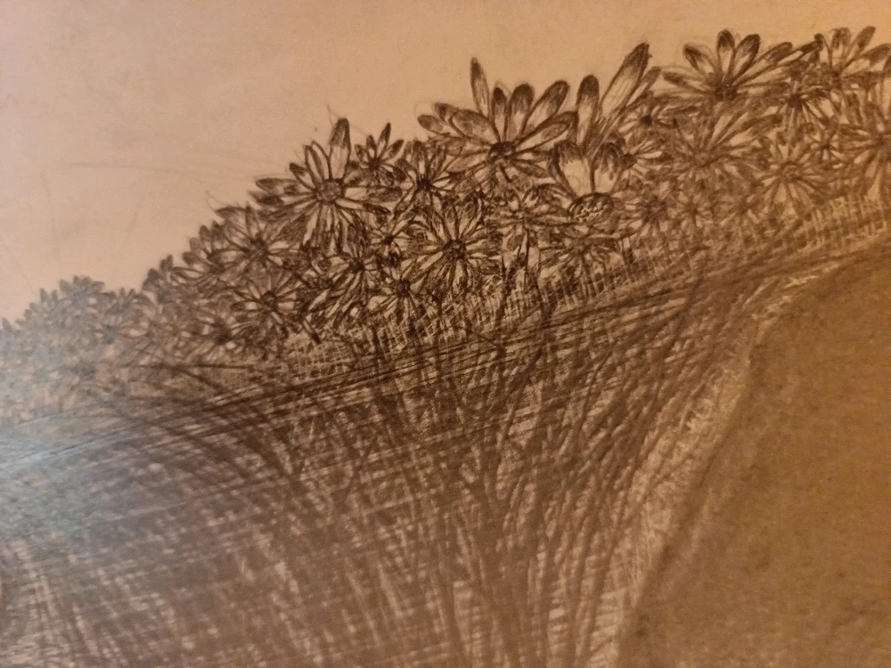 Bild hochgeladen von Mert