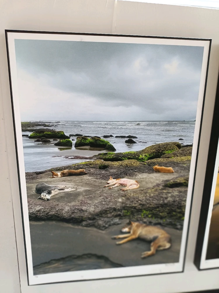 Image uploaded by Himanshu Kothari