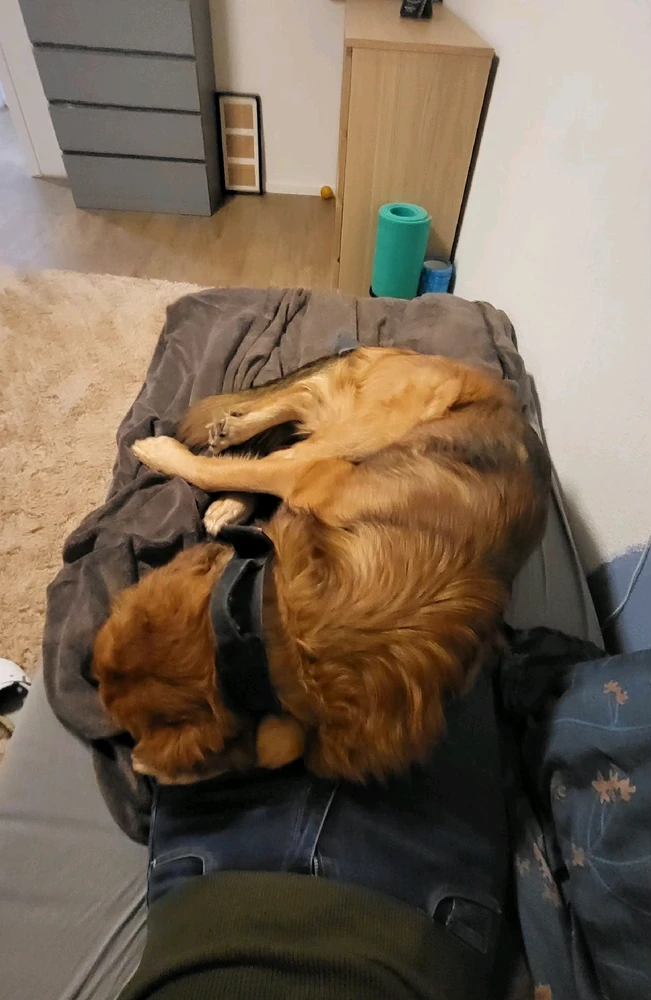 GIF hochgeladen von Melanie