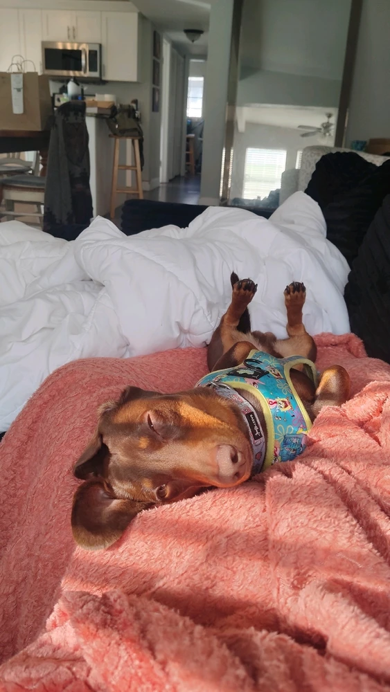 GIF uploaded by Alex