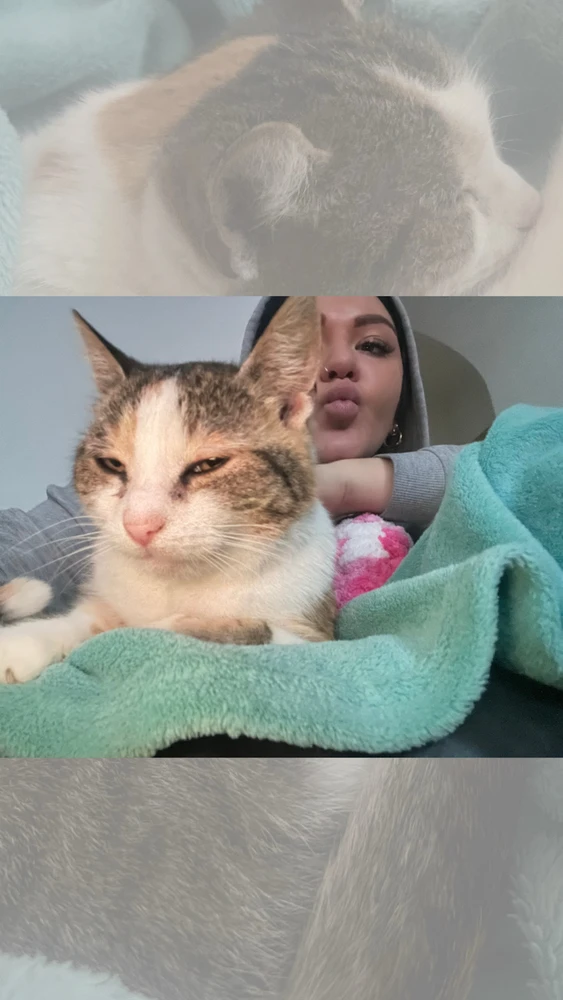 GIF uploaded by Karin