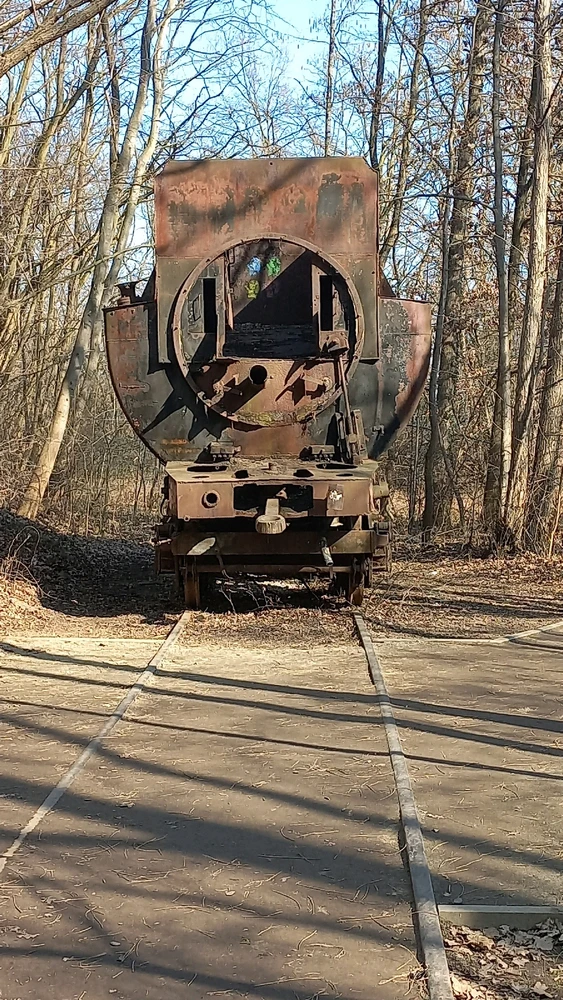 Image uploaded by Zofia