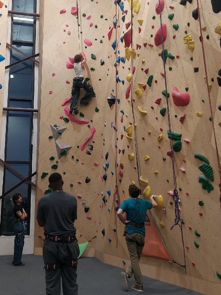 Image uploaded by Elias