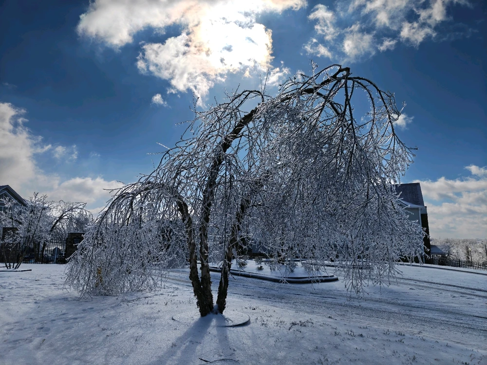 Image uploaded by Joseph