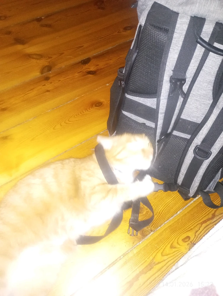 GIF hochgeladen von Leo