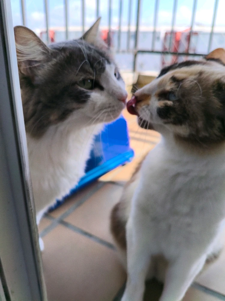 GIF uploaded by Juan Daniel