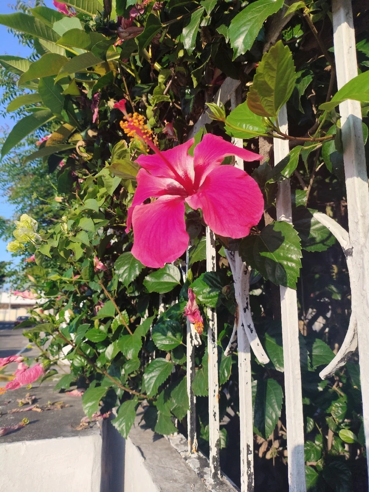 Imagen subida por Arturo