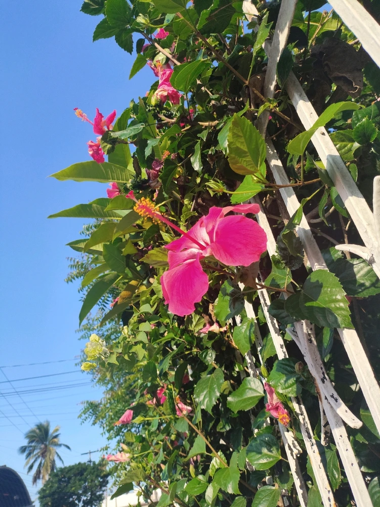 Imagen subida por Arturo