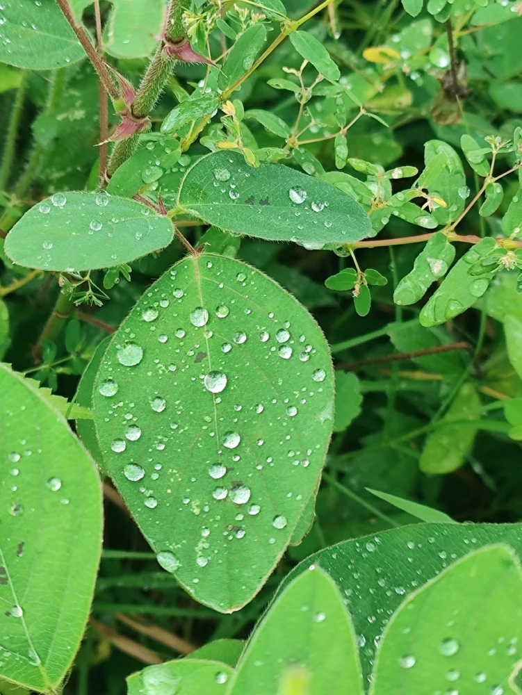 Imagen subida por Arturo