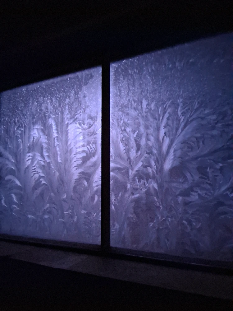 GIF uploaded by Twopercentnorseman