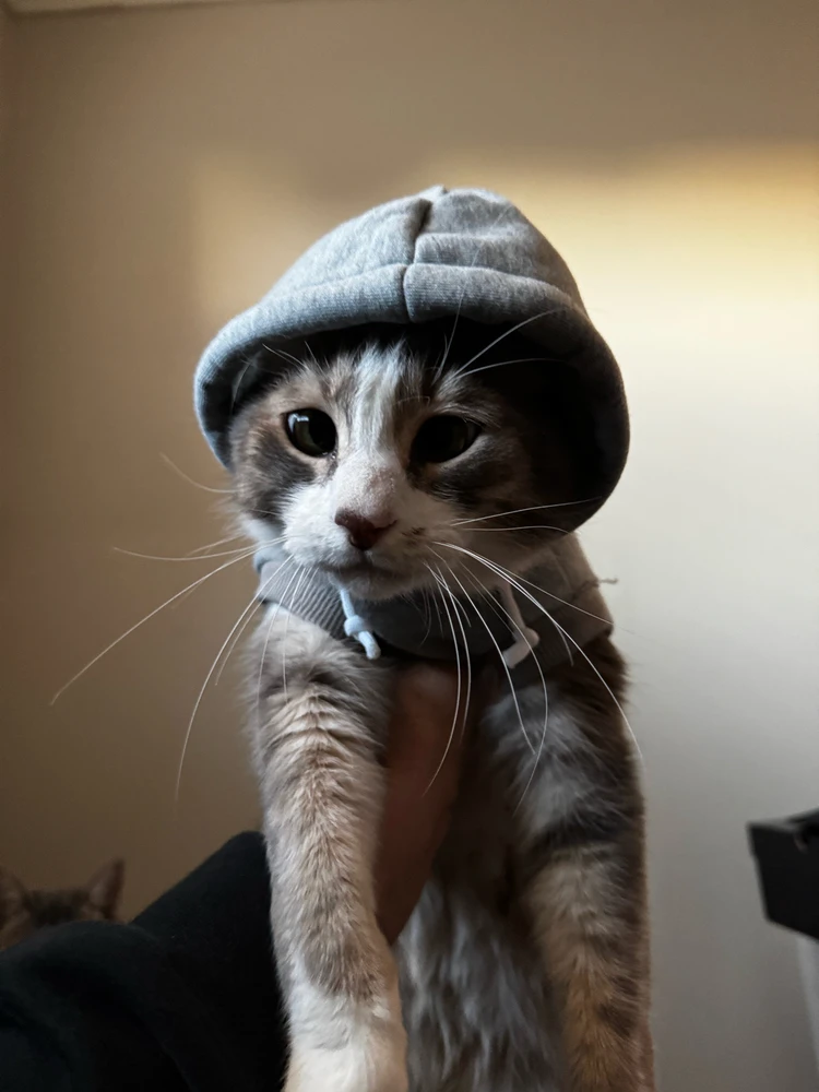 GIF uploaded by Marco