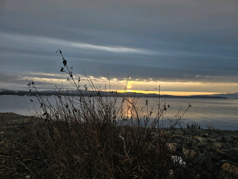 Image uploaded by Kim